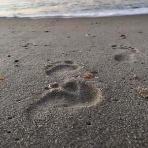 Meet your Posher, Peyton